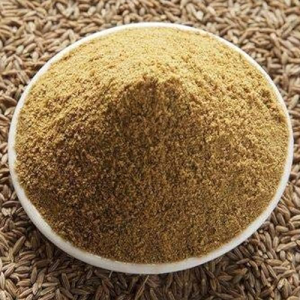 Cumin Raw Powder in Nagpur