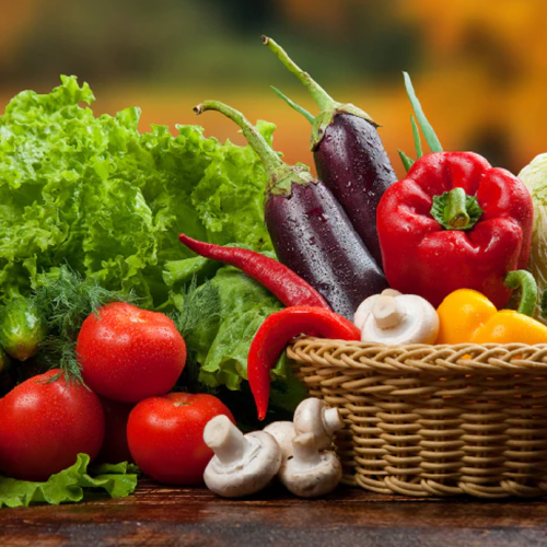 Fresh Vegetables in Nagpur