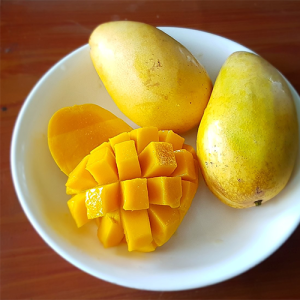 Mango in Nagpur