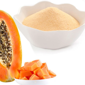 Papaya Powder in Nagpur