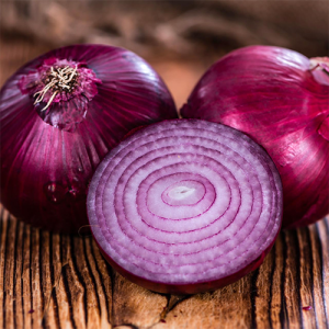 Red Onion in Nagpur