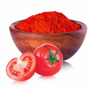 Tomato Powder in Nagpur